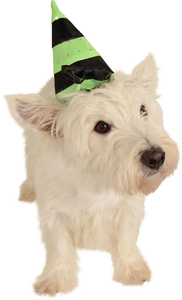 rubie-s-deluxe-hexenhut-hund-gr-n-schwarz-haustierkost-m-s-m image 1