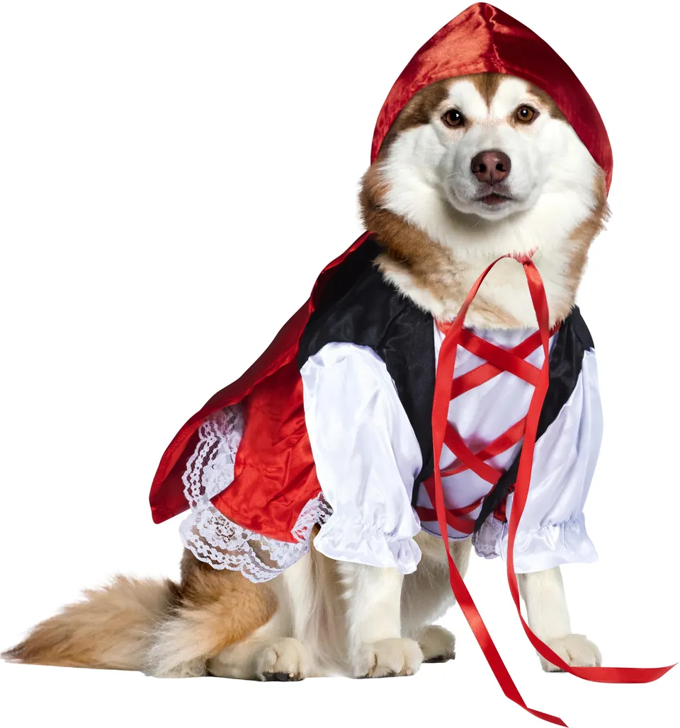 rubie-s-deluxe-rotk-ppchen-hundekost-m-s-rot image 1