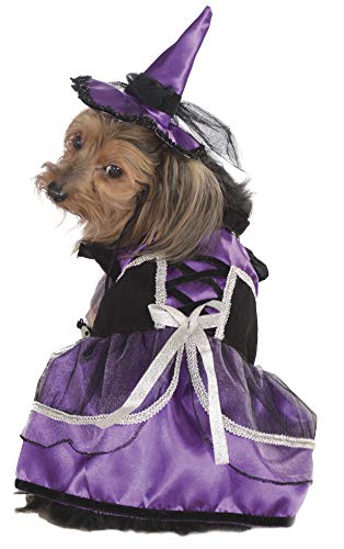 rubie-s-deluxe-purple-witch-haustierkost-m-l-lila image 8