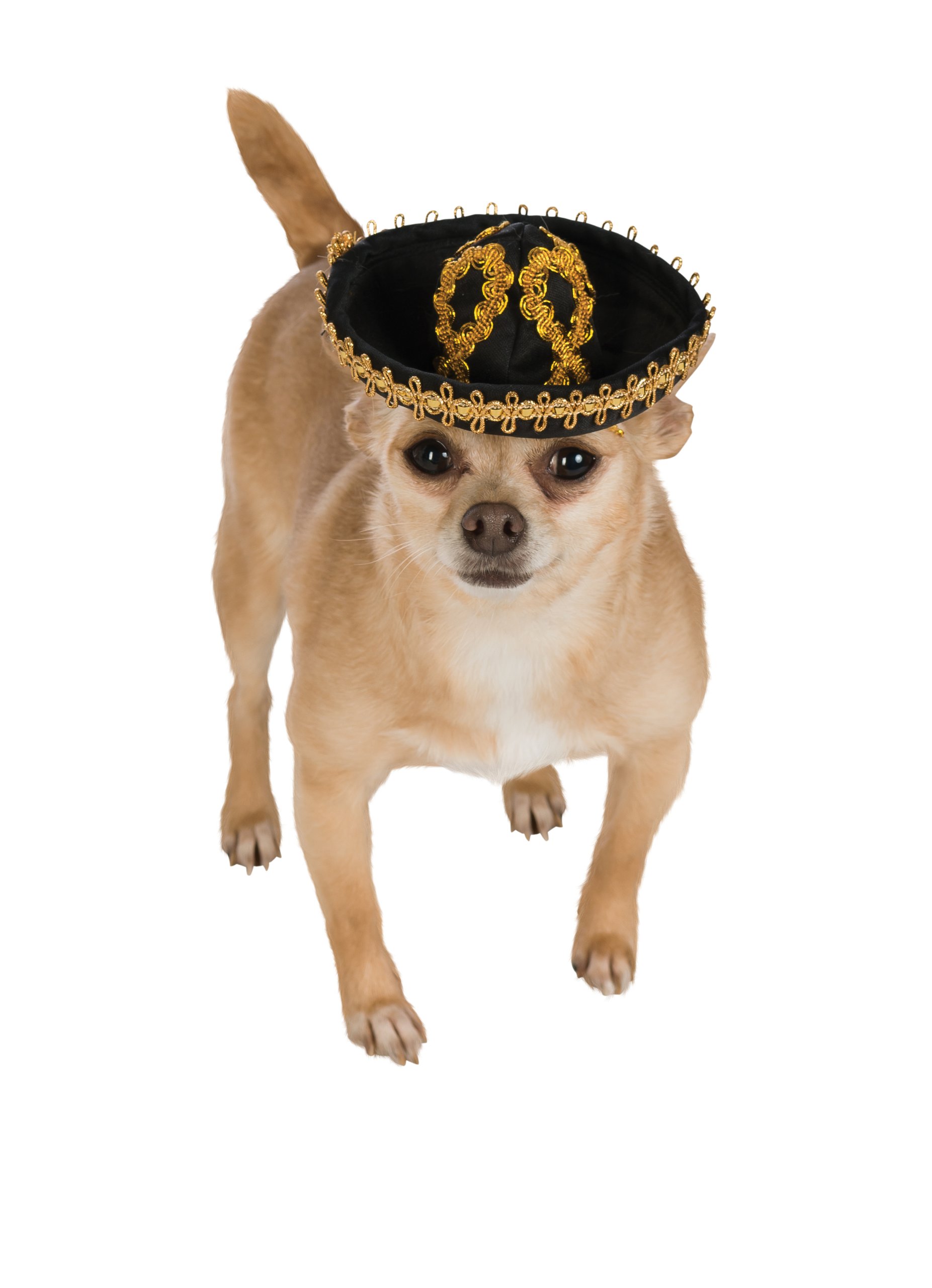 rubie-s-deluxe-sombrero-hundehut-m-l-silber-schwarz image 4