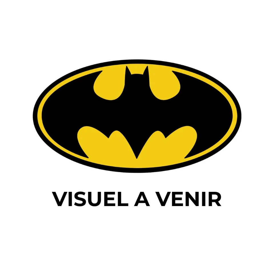 rubies-france-batgirl-accessoire-kit-erwachsene-maske-mit-manschetten image 1